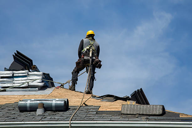 Professional Flat Roof Repair technician working in Cold Spring, MN